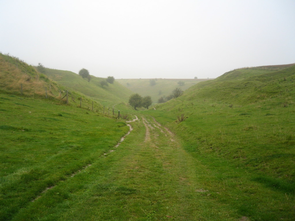 Path_down_from_the_Ridgeway_to_Bishopstone,_Wiltshire