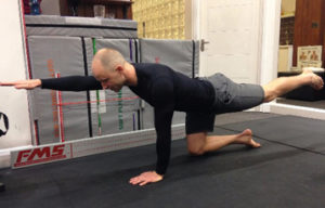 bird dog exercise