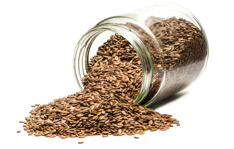 flax seed for runners