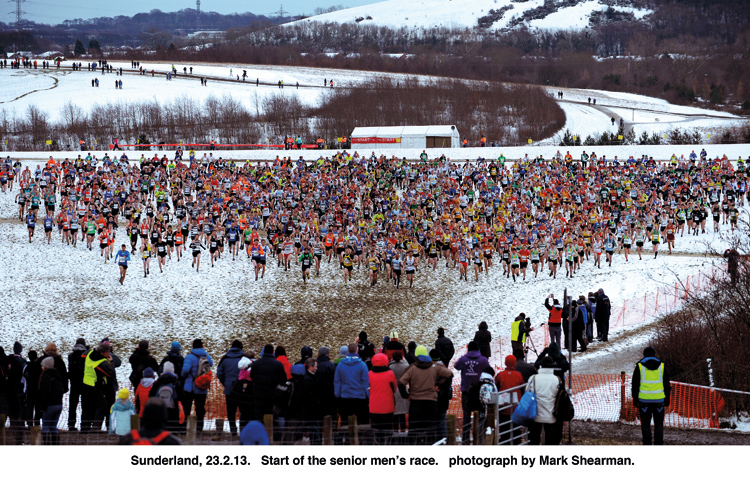 Men's National Cross Country Championship 2013