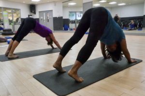 Jane Howard demonstrating Iyengar Yoga Downward Dog Pose 